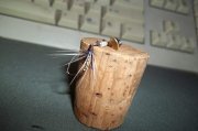 2011.03.24_100_0181.jpg