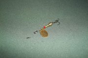 2011.03.24_100_0167.jpg