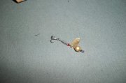 2011.03.24_100_0187.jpg