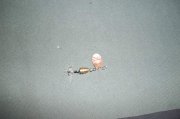 2011.03.24_100_0206.jpg