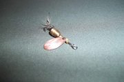 2011.03.24_100_0211.jpg