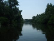 DSCF2359.jpg
