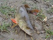DSC00022.JPG