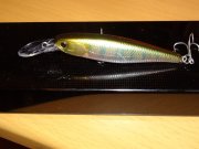 DSC00021.JPG