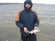 IMG_0989.jpg