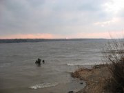 IMG_0990.jpg