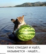 funpic1.jpg