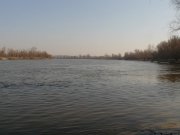P1030657.jpg