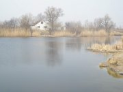 P4010051.jpg