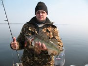 IMG_4950.jpg