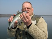 макарты 31.03.11 001.jpg