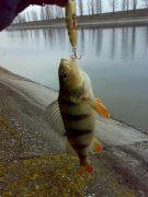 31032011646.jpg