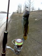 31032011648.jpg