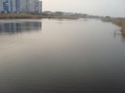 DSC04204 s+.JPG