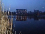 DSC04217 s+ .JPG