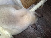 02042011450.jpg