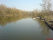 DSC01565.JPG