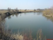 DSC01566.JPG