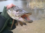 03042011263.jpg