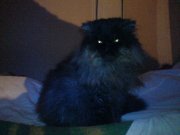 DSC00035.jpg