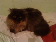 DSC00246.JPG