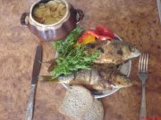 DSC01570.JPG