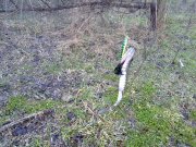 07042011175н.JPG