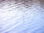 DSCF9049.jpg