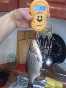 DSC01586.JPG