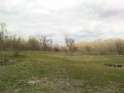 DSC04637.JPG