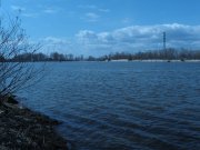 IMG_2945.jpg