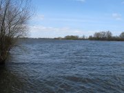 IMG_2954.jpg