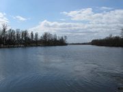 IMG_2951.jpg