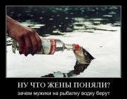 x_5388b609.jpg