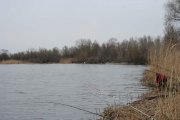 IMG_1068.jpg