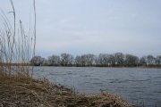 IMG_1046.jpg