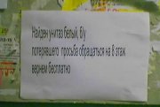 1303287547_1303237987_nadpisi2.jpg