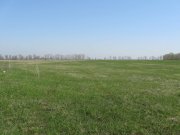 IMG_2958.jpg