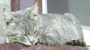 PIC_0298.jpg