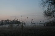 IMG_1075.jpg