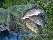 24042011155.jpg
