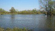 IMG_0389.jpg