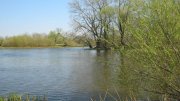 IMG_0390.jpg