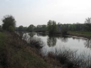 IMG_2981.jpg