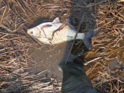 IMG_2973.jpg