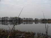 SAM_0029.jpg