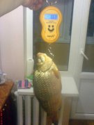 DSC01603.jpg