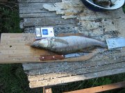 пасха 2011 001.jpg