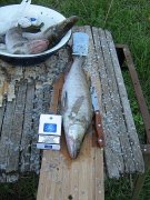 пасха 2011 002.jpg