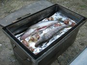 пасха 2011 004.jpg